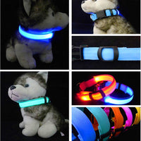 LED Dog Collar Light Night Safety