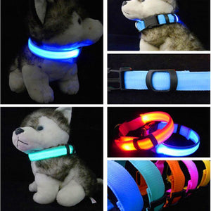 LED Dog Collar Light Night Safety