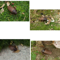 Remote Controlled Cockroach