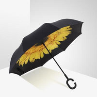 Inverted Umbrella