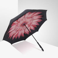Inverted Umbrella