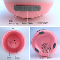 Smart Singing FlowerPot