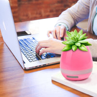 Smart Singing FlowerPot